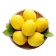 Excellent grade lemon