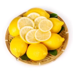 Fresh Eureka Lemons Wholesale | China Origin Bulk FCL Export Supply,Fresh Eureka Lemons Wholesale | Bulk Export From China,Chinese Fresh Lemon
