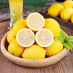 Fresh Eureka Lemons Wholesale | Bulk Export From China,Fresh Eureka Lemons Wholesale | Bulk Export From China,Chinese Fresh Lemon