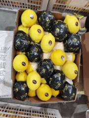 Fresh Eureka Lemons Wholesale | China Origin Bulk FCL Export Supply,Fresh Eureka Lemons Wholesale | Bulk Export From China,Chinese Fresh Lemon
