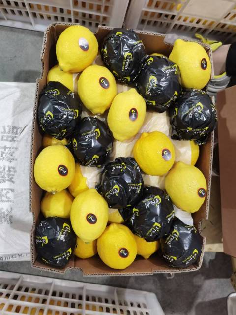 Fresh Eureka Lemons Wholesale | China Origin Bulk FCL Export Supply,Fresh Eureka Lemons Wholesale | Bulk Export From China,Chinese Fresh Lemon