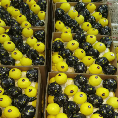Fresh Eureka Lemons Wholesale | China Origin Bulk FCL Export Supply,Fresh Eureka Lemons Wholesale | Bulk Export From China,Chinese Fresh Lemon