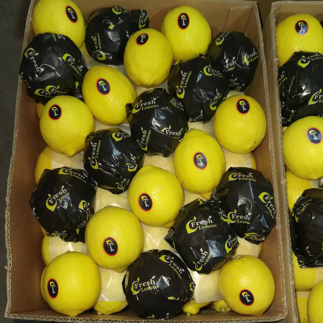 Fresh Eureka Lemons Wholesale | China Origin Bulk FCL Export Supply,Fresh Eureka Lemons Wholesale | Bulk Export From China,Chinese Fresh Lemon