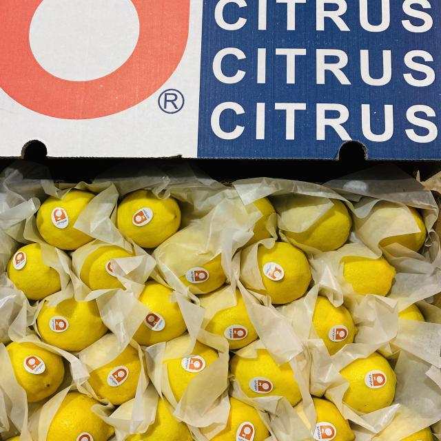 Fresh Eureka Lemons Wholesale | China Origin Bulk FCL Export Supply,Fresh Eureka Lemons Wholesale | Bulk Export From China,Chinese Fresh Lemon