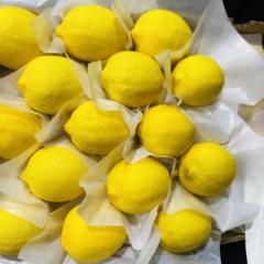 Fresh Eureka Lemons Wholesale | China Origin Bulk FCL Export Supply,Fresh Eureka Lemons Wholesale | Bulk Export From China,Chinese Fresh Lemon