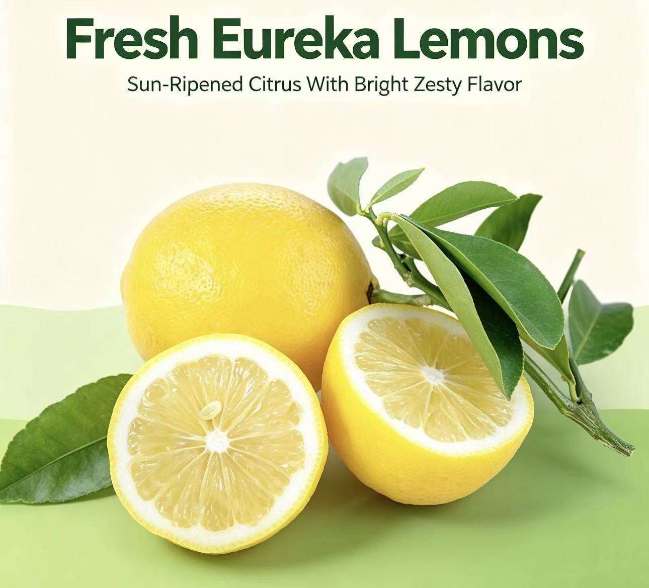 Fresh Eureka Lemons Wholesale | Bulk Export From China,Fresh Eureka Lemons Wholesale | Bulk Export From China,Chinese Fresh Lemon