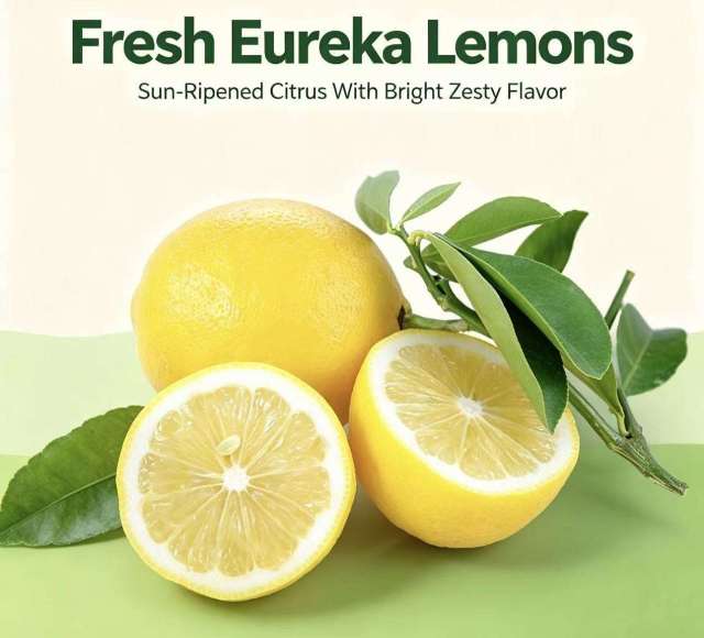 Fresh Eureka Lemons Wholesale | Bulk Export From China,Fresh Eureka Lemons Wholesale | Bulk Export From China,Chinese Fresh Lemon
