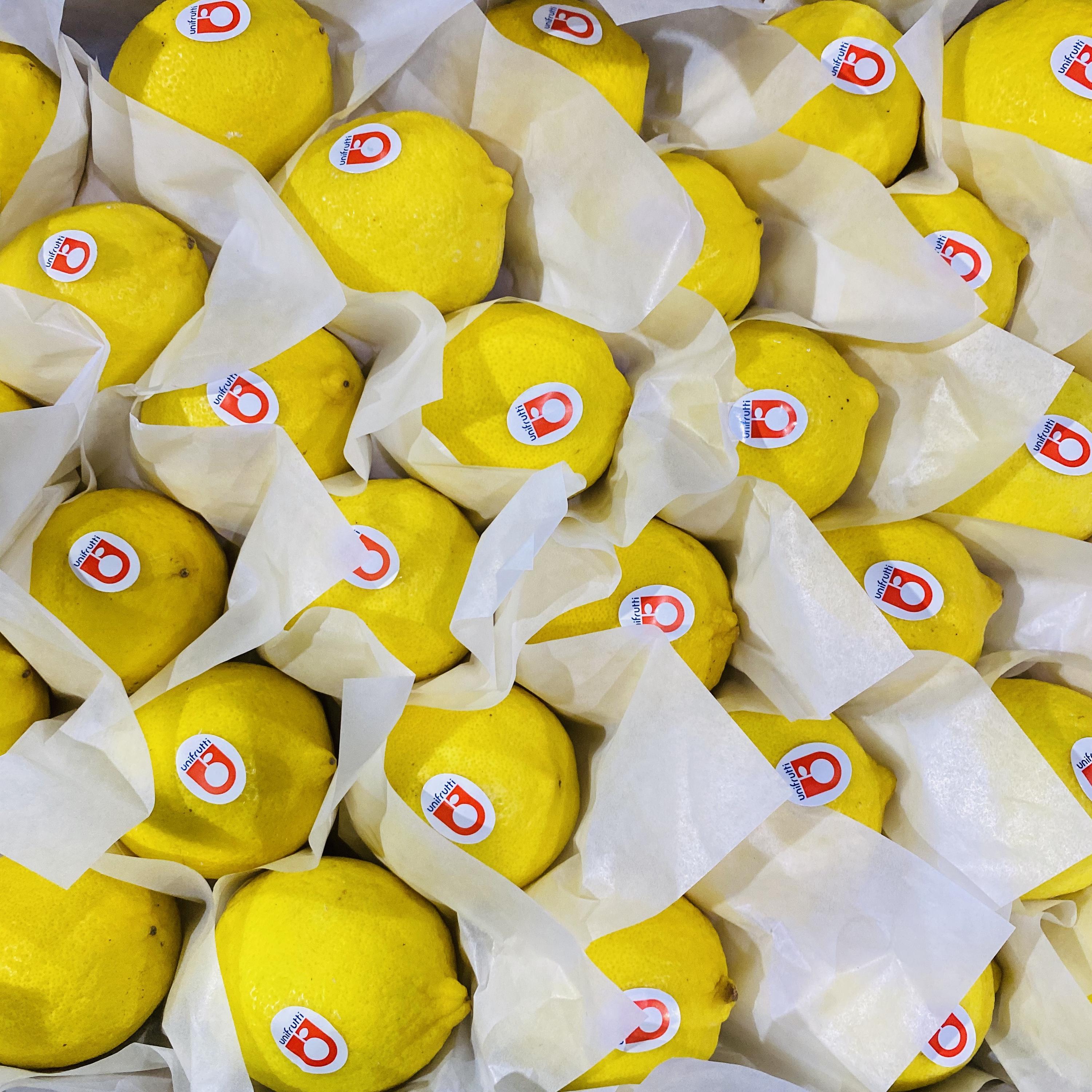 Premium Fresh Eureka Lemon, Bulk Wholesale Direct From Chinese Farm,Premium Fresh Eureka Lemon, Bulk Wholesale Direct From Chinese Farm,Chinese Fresh Lemon