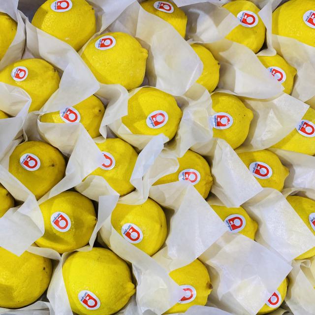 Premium Fresh Eureka Lemon, Bulk Wholesale Direct From Chinese Farm,Premium Fresh Eureka Lemon, Bulk Wholesale Direct From Chinese Farm,Chinese Fresh Lemon