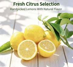 Fresh Eureka Lemons Wholesale | Bulk Export From China,Fresh Eureka Lemons Wholesale | Bulk Export From China,Chinese Fresh Lemon