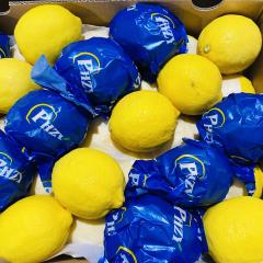 Premium Fresh Eureka Lemon, Bulk Wholesale Direct From Chinese Farm,Premium Fresh Eureka Lemon, Bulk Wholesale Direct From Chinese Farm,Chinese Fresh Lemon