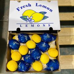 Premium Fresh Eureka Lemon, Bulk Wholesale Direct From Chinese Farm,Premium Fresh Eureka Lemon, Bulk Wholesale Direct From Chinese Farm,Chinese Fresh Lemon