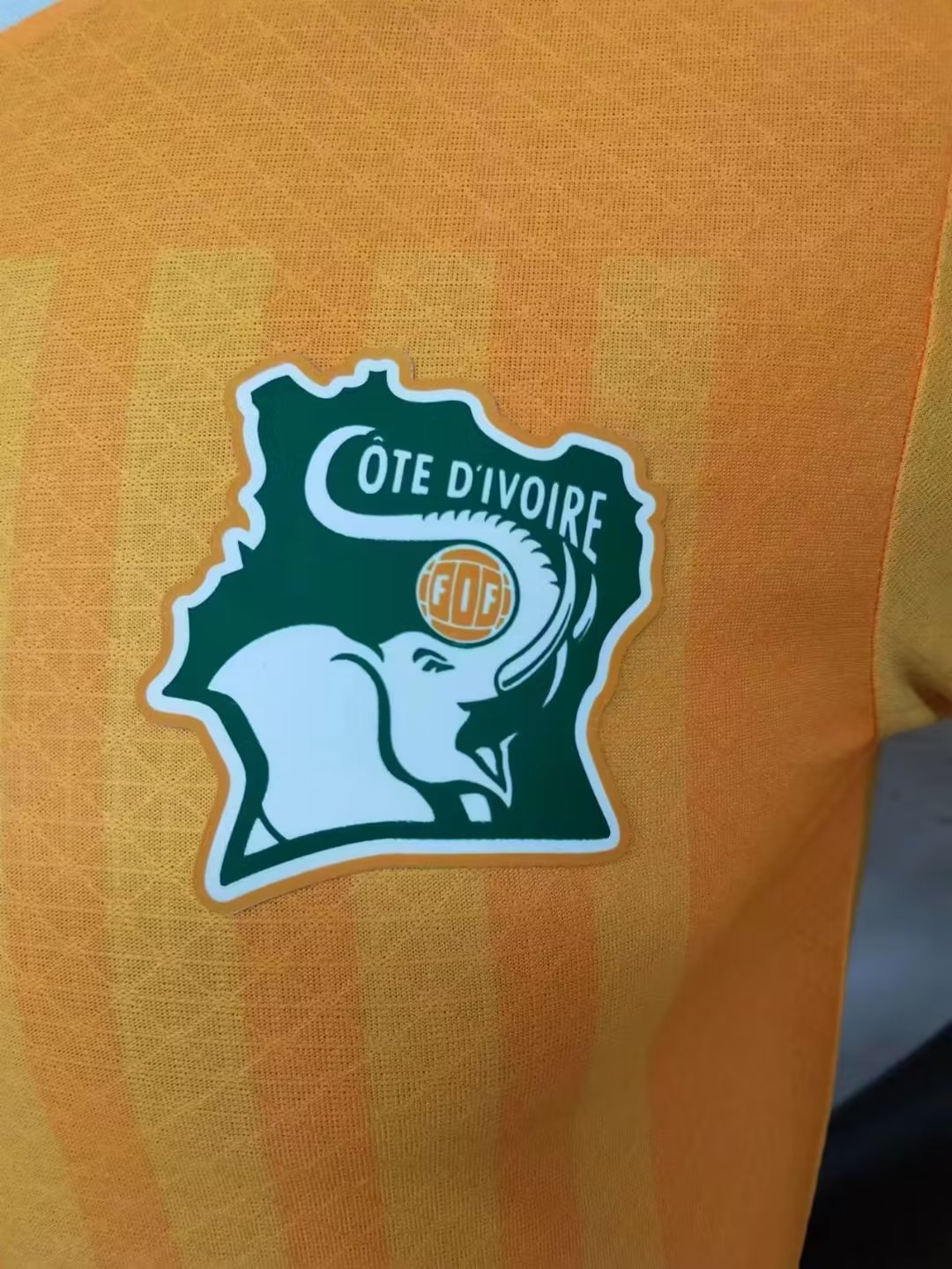 22-23 Ivory Coast Home Player Edition Soccer Jersey