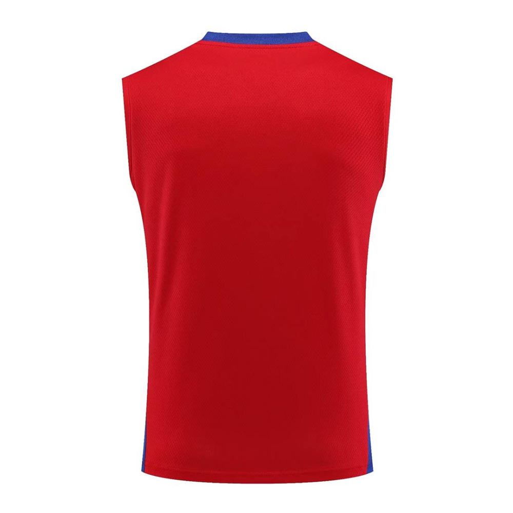Bayern Munich Sleeveless Training Kit Red 2023/24