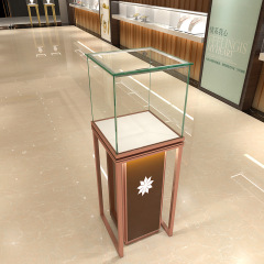 Jewelry display case