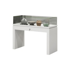 Jewelry display case