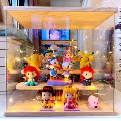 Toy acrylic display box