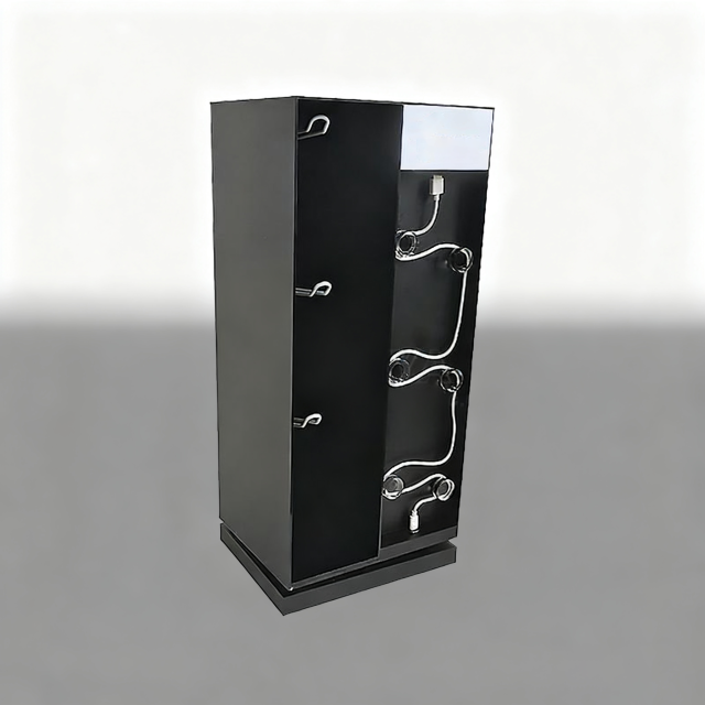 Earphone display stand