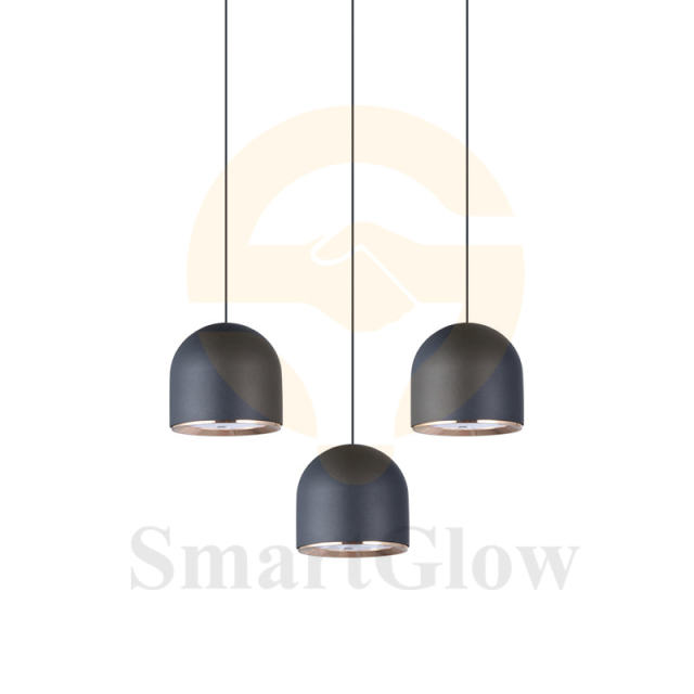 【SG20-E100-7PO】Magnetic Pendant Light