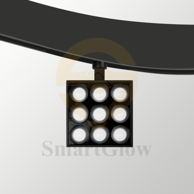 【SG20-R65-9SG】Smart Circular Megnetic Track Grille Light