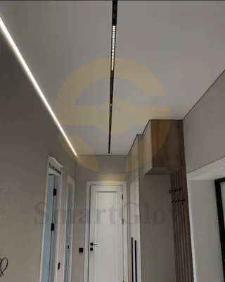 【SG2509G】220V Indoor Smart Dimmable Magnetic Grille Light