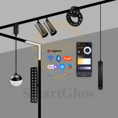 【SG2509AG】220V Modern Indoor Magnetic Adjusting Grille Track Light