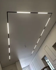 【SG2509F】Modern Dimmable Magnetic Track Flood Light
