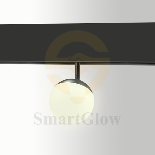 【SG2505BL】220V Dimming Flood Light Wall Washer Magnetic Track Light System