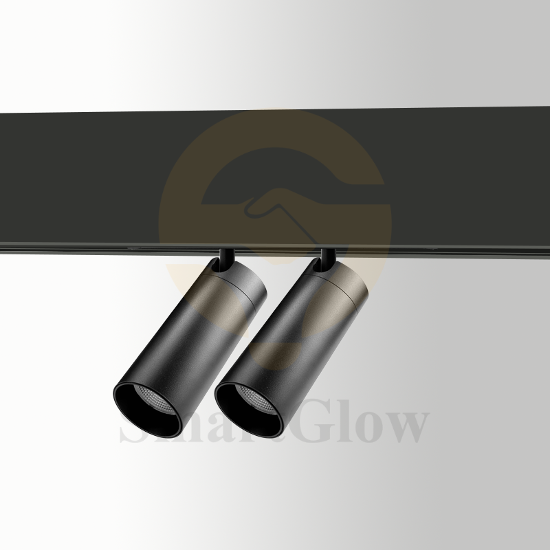 【SG2510X2SA】Remote Control Magnetic Led Track Spot Commercial Lighting Lamps
