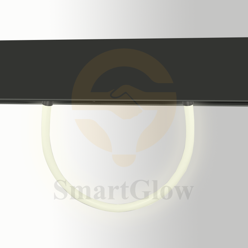 【SG2509FS】Decorative 360 Degree Flexible Magnetic Track Neon Tube Lights