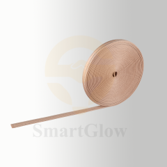 【SG16-BT】24V Smart Woven Belt Track Rail System