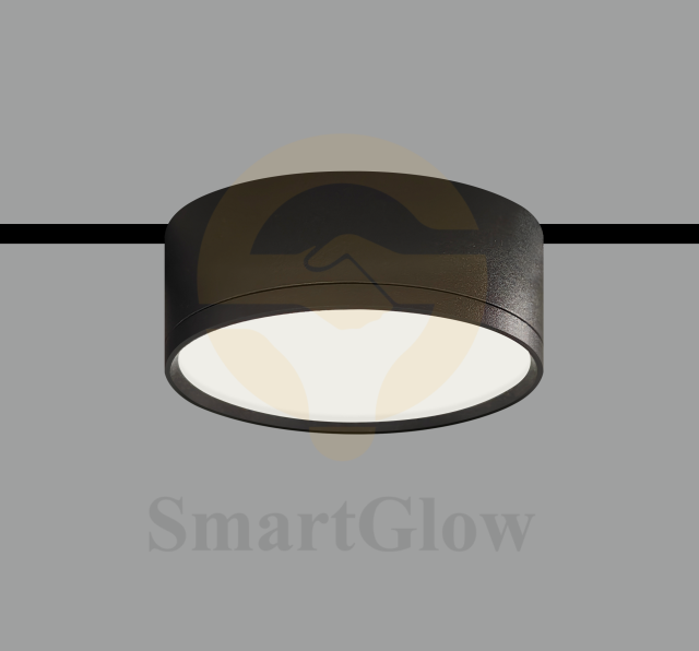 48V 10mm Remote Control Magnetic Round Floodlight