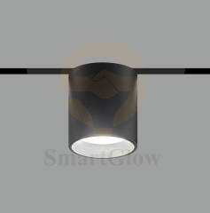 【SG10-25-2TS】10mm Manufacturer Modern Indoor Magnetic track thin spot light