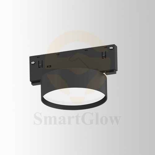 48V 10mm Remote Control Magnetic Round Floodlight