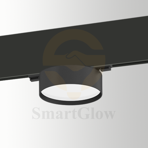48V 10mm Remote Control Magnetic Round Floodlight