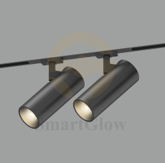【SG10-20-2XS】48V Modern Tuya Control Dimming Office Use 48V Magnetic Track Spot Lights