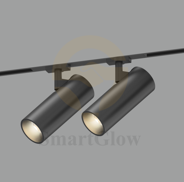 【SG10-20-2XS】48V Modern Tuya Control Dimming Office Use 48V Magnetic Track Spot Lights