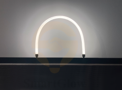 【SG2009FS】48V 20mm 360° Led Neon Rope Light Smart Magnetic Flexible Tube Light-Series