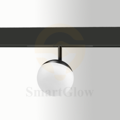 Smart Remote Control 48V Low Voltage 20mm Magnetic Round Ball Light