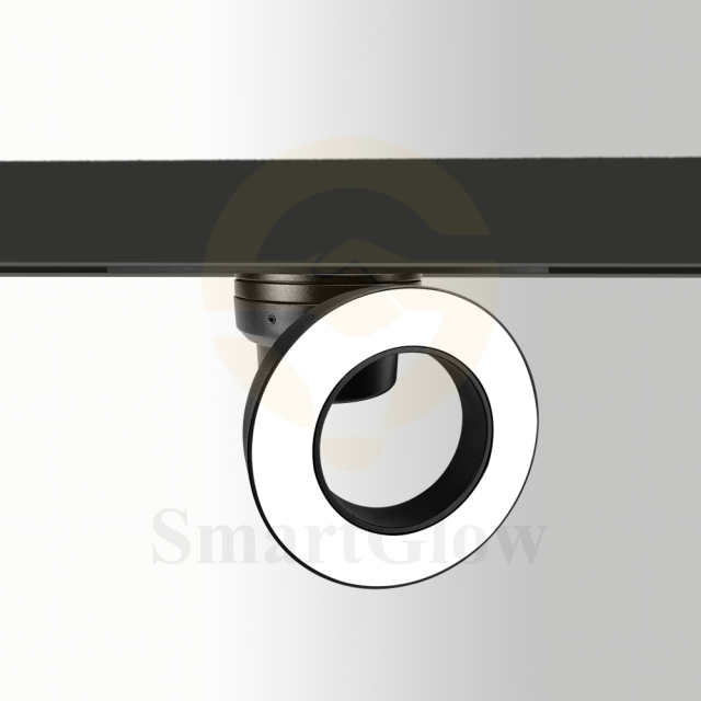 【SG2009FL】48V 20mm Bluetooth Smart Control Magnetic Track Lighting Round Grille Lamp