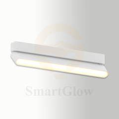 25mm Ultra Thin Ceiling DC24V Smart Magnetic LED Adjustable FloodLight