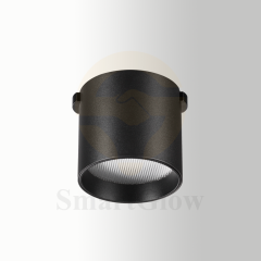 24V Woven Belt round spotlight COB dimmable Ultra thin Track Down light