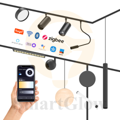 48V Easy-Install Ceiling  Smart Magnetic Track LED Light
