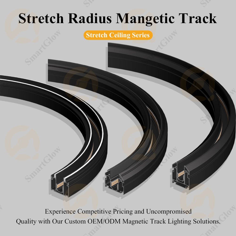 curved magnetic track
