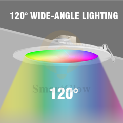 【SG604】10W Flat Led Can Lights Interior Smart Remote Control RGB Slim Led Downlight