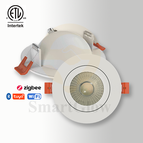 4.8-inch Adjustable 360 Degree Gimbal RGBCW LED Recessed Light