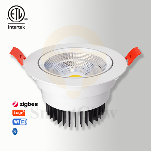 【SG607】Modern 9W Led Ktichen Recessed Swicel Ceiling Spotlights RGB Dimmable Concealed Spotlight