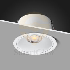 【SG828】Smart Adjustable Livingroom Downlights With Transformer 10W Led Cob Bathroom Downlight ip65