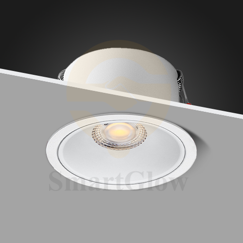 【SG828】Smart Adjustable Livingroom Downlights With Transformer 10W Led Cob Bathroom Downlight ip65