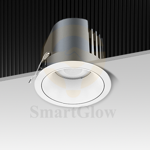 【SG831】Low Voltage Tiltable Matte Black Downlights 12V Recessed Ceiling ip65 Smart Downlight